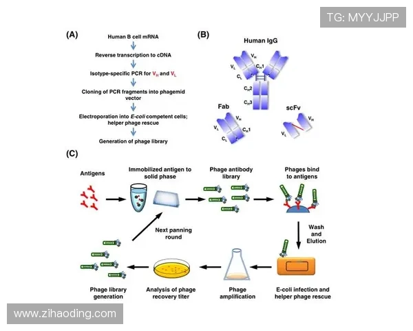 尊龙平台怎么样:平台的技术保障措施与用户数据保护策略
