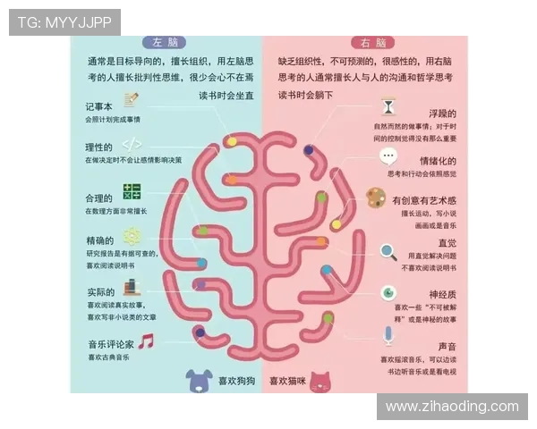 Z6人生：游戏中的策略布局如何启发你在现实生活中做出更明智的决策